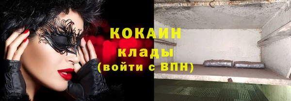 гашик Вяземский