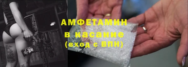 шишки Горняк