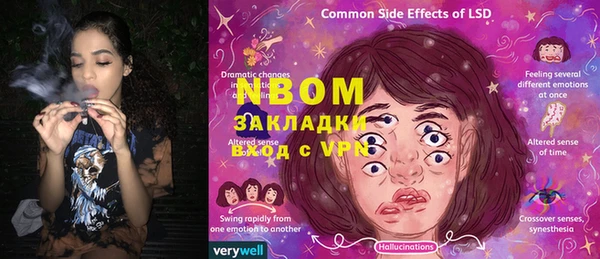 гашик Вяземский