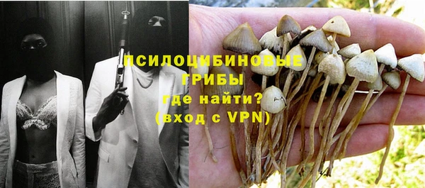 гашик Вяземский
