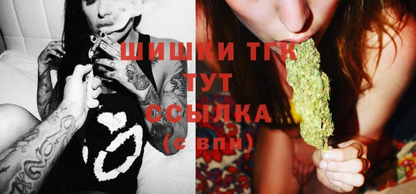 эйфоретик Гусев