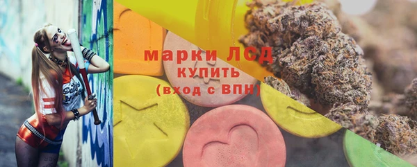 гашик Вяземский
