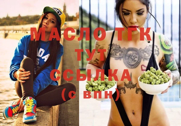 гашик Вяземский