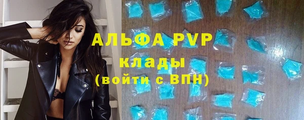шишки Горняк