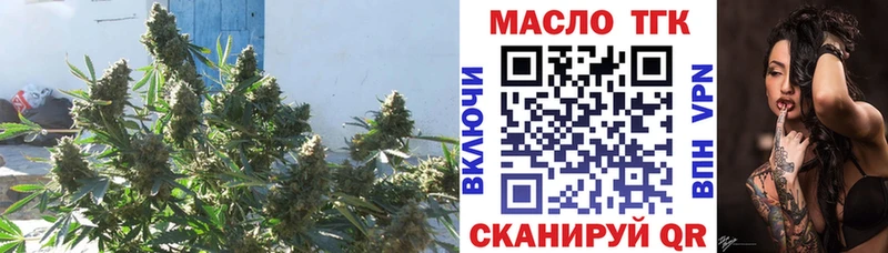 купить наркотики сайты  Кызыл  кракен   Дистиллят ТГК вейп с тгк 