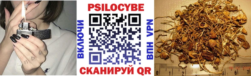 купить наркотики цена  blacksprut онион  Галлюциногенные грибы ЛСД  Кызыл 