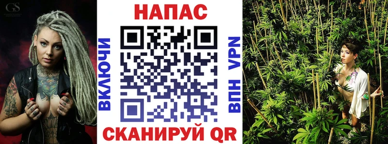закладки  Кызыл  Бошки Шишки семена 